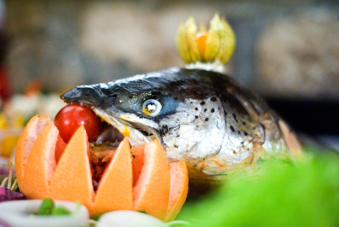 047_jgontkiewicz_reportaż ślubny