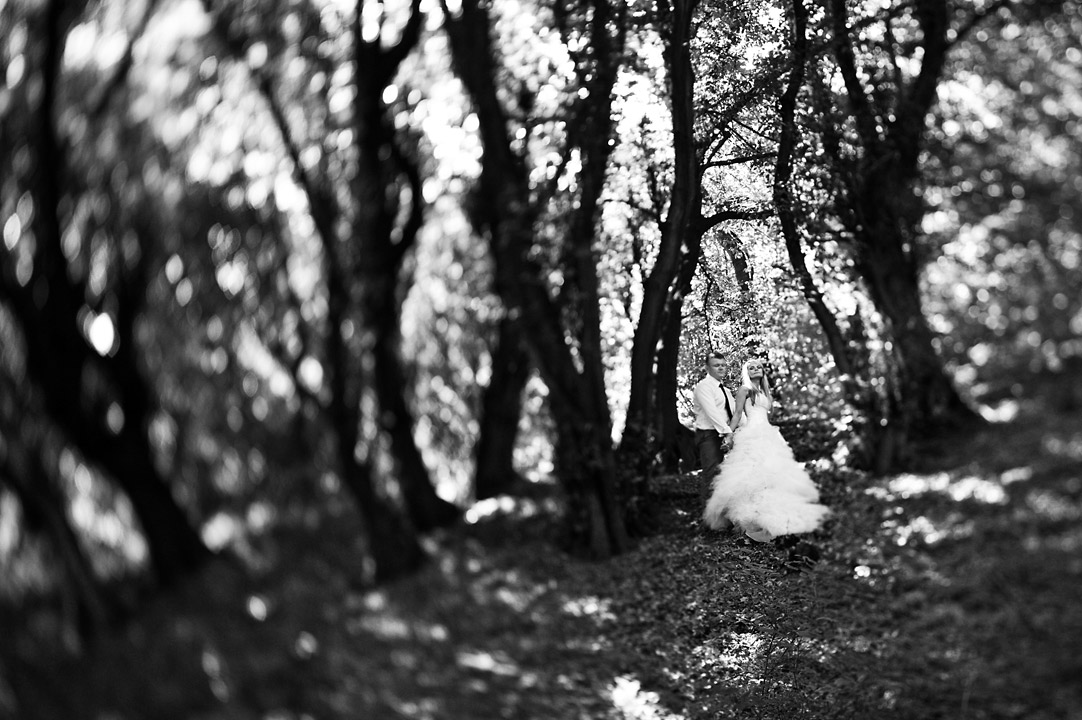 083_jgontkiewicz_plener ślubny